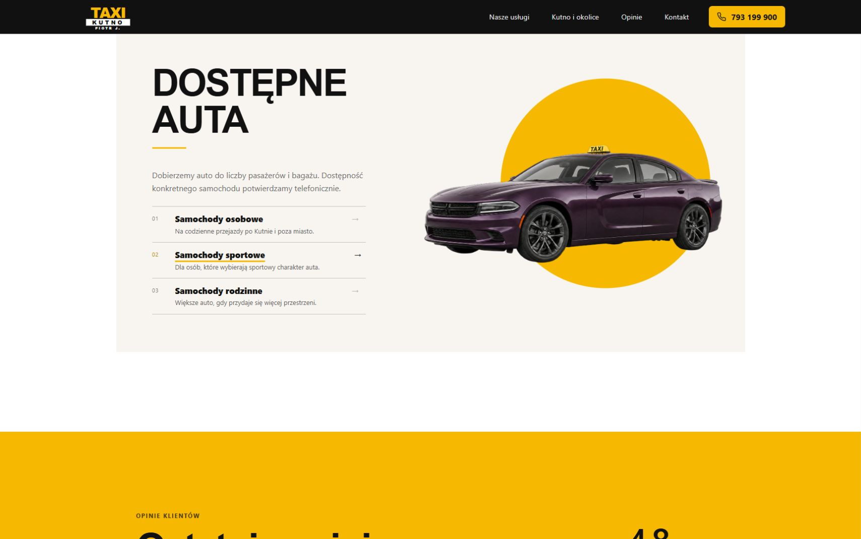 Taxi Kutno: widok projektu